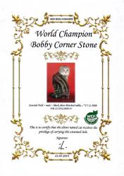WCH(WCF) Bobby Corner Stone,  -