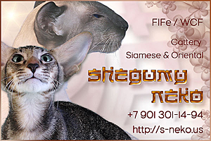 SHEGUMY NEKO